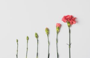 Personal Growth: A Complete Guide To Self-Improvement