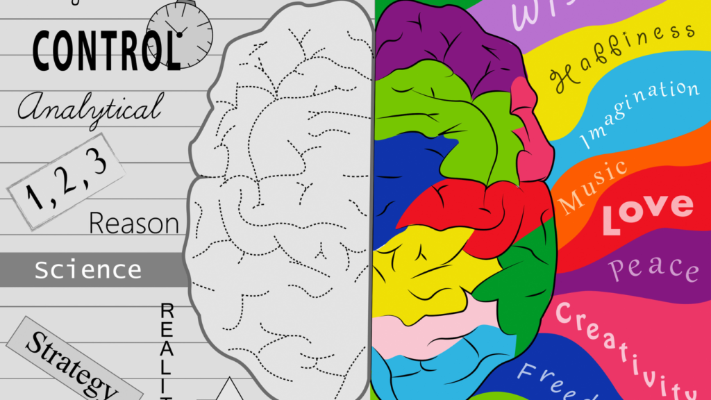emotions and logic - two parts of brain involved in decision-making