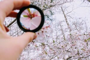 5 Ways to Never Lose Focus Again From Your Goals