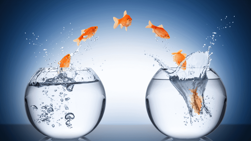Accenture Rebrands Staff And It Teaches Five Ultimate Productivity Lessons