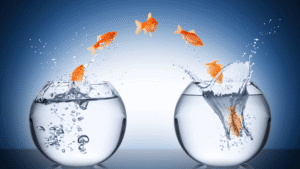 Accenture Rebrands Staff And It Teaches Five Ultimate Productivity Lessons